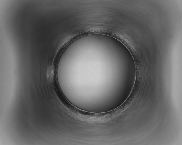 X0000116480016200912161301