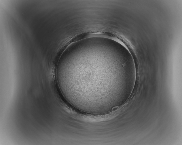 X0000116480017200912161301