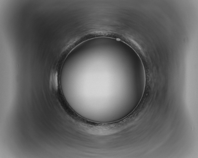 X0000116480020200912161301