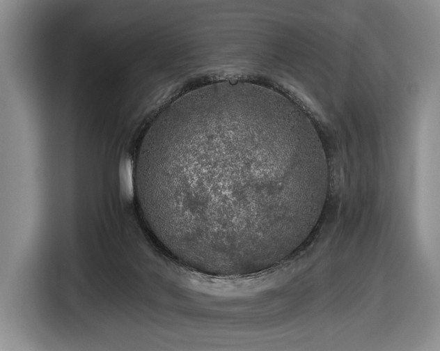 X0000116480022200912161301