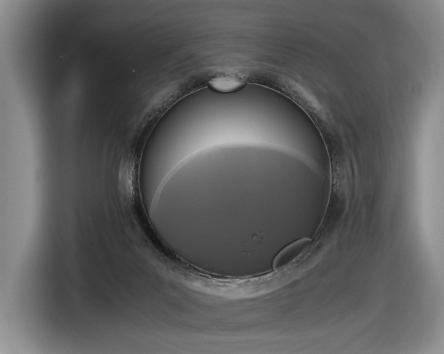 X0000116480023200912161301