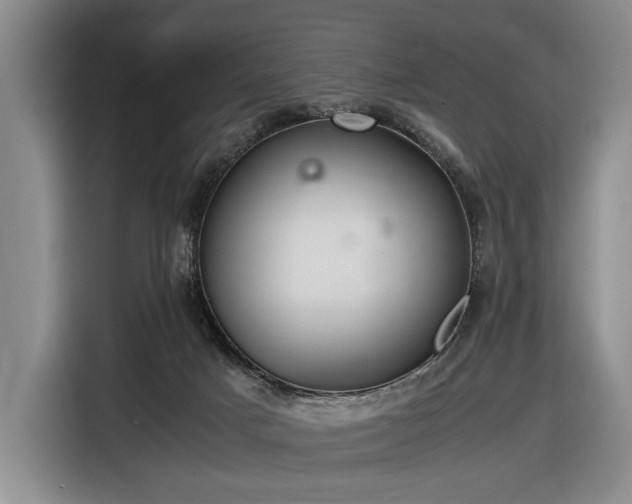 X0000116480025200912161301