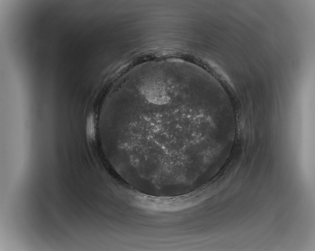 X0000116480026200912161301