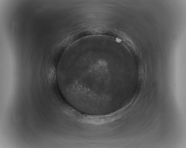 X0000116480029200912161301