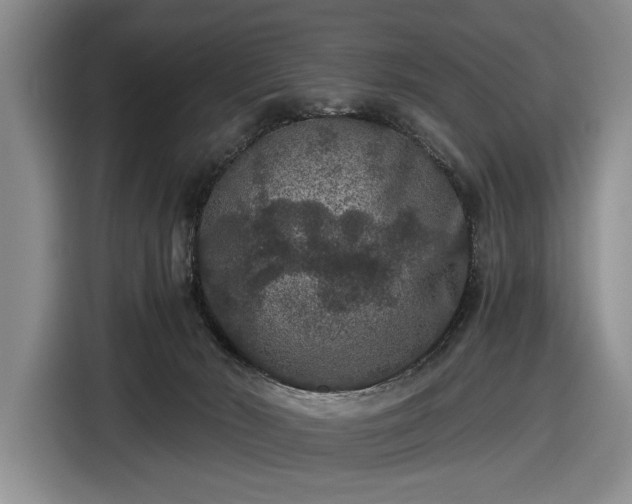 X0000116480030200912161301