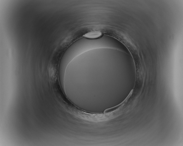 X0000116480031200912161301