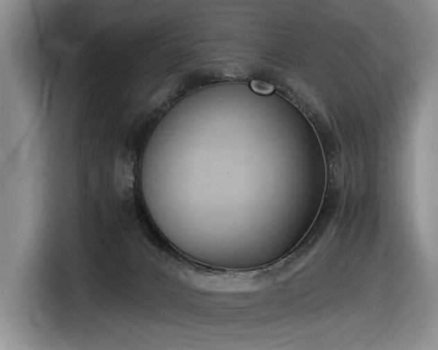 X0000116480032200912161301