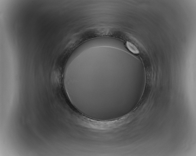 X0000116480035200912161301