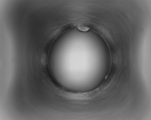 X0000116480036200912161301