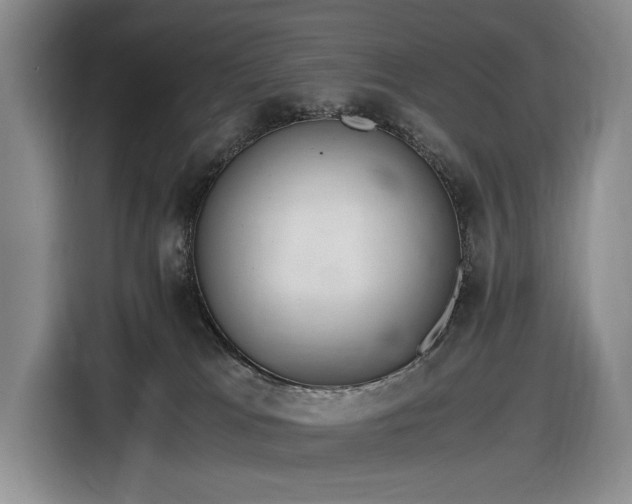 X0000116480037200912161301