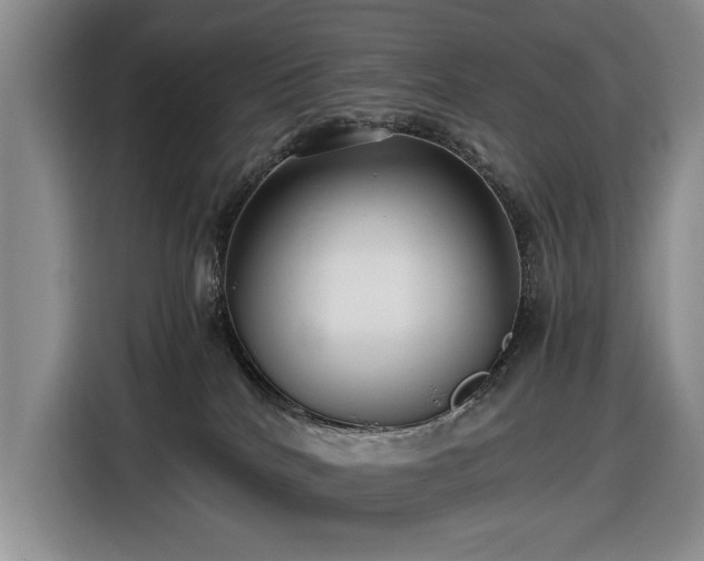 X0000116480040200912161301