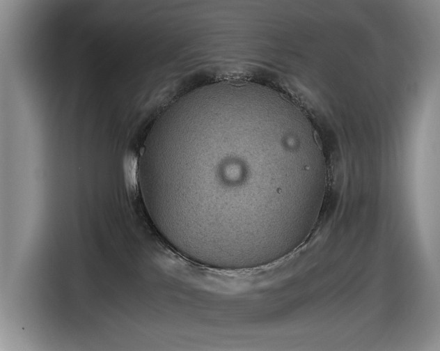 X0000116480041200912161301