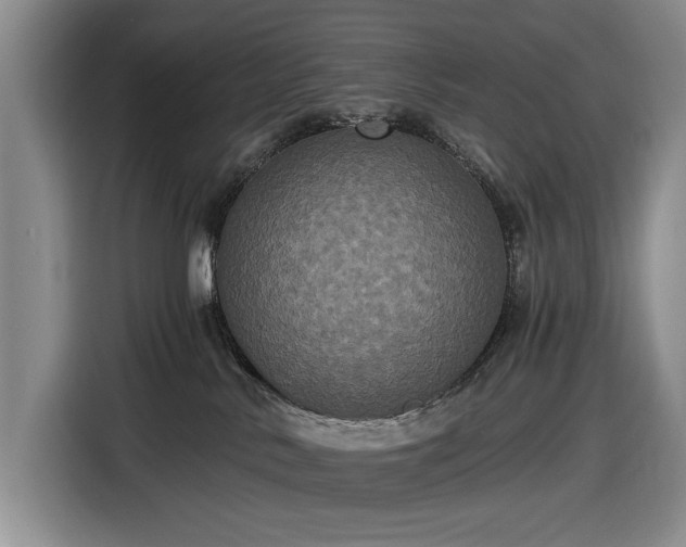 X0000116480042200912161301