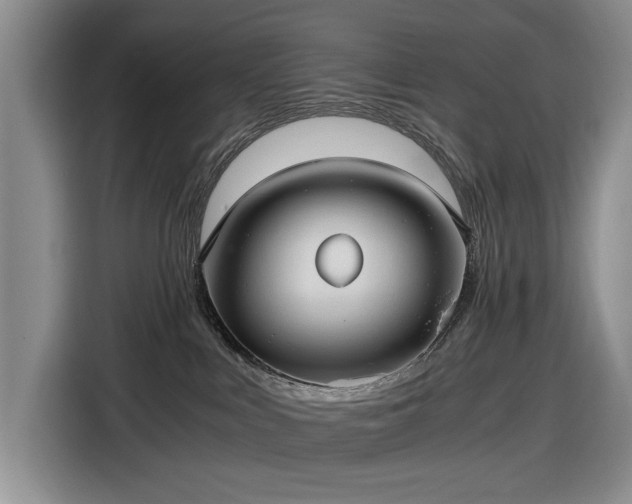 X0000116480043200912161301