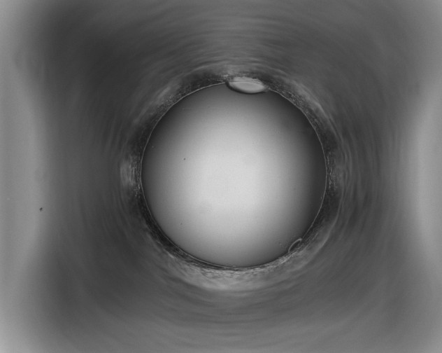 X0000116480044200912161301