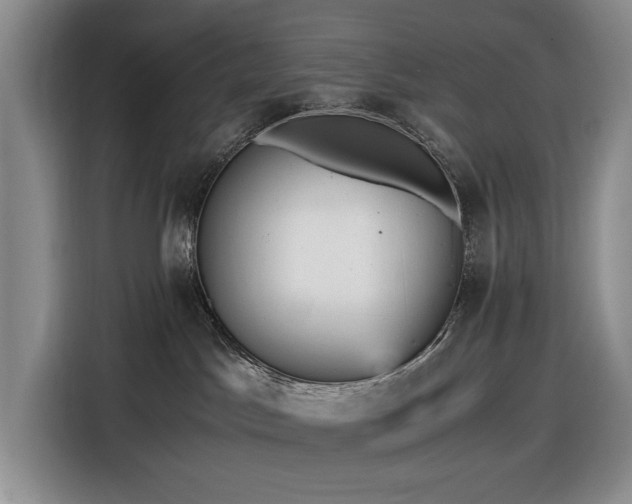 X0000116480045200912161301