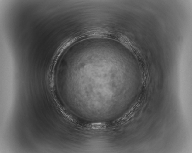 X0000116480050200912161300