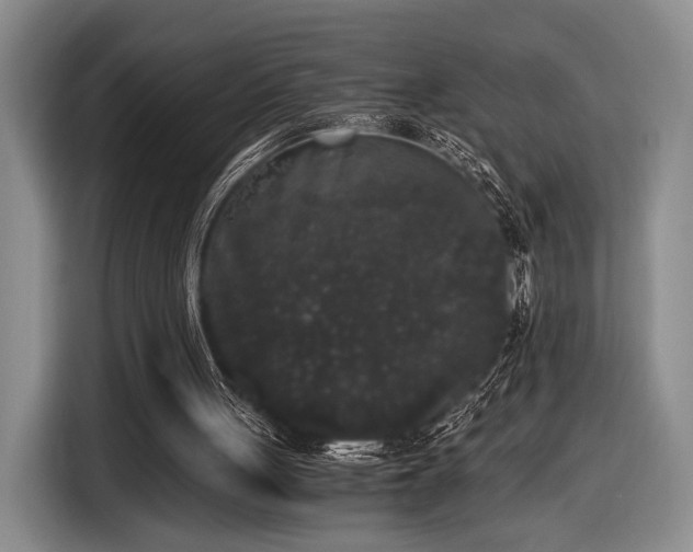 X0000116480051200912161300