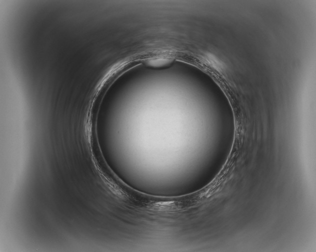 X0000116480054200912161300