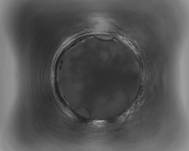 X0000116480055200912161300