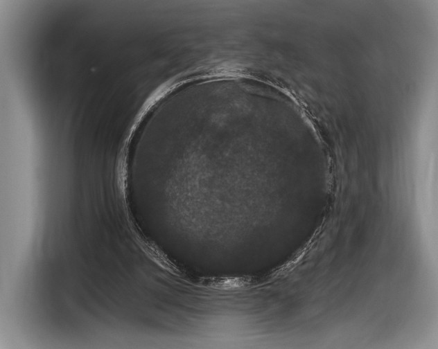 X0000116480056200912161300