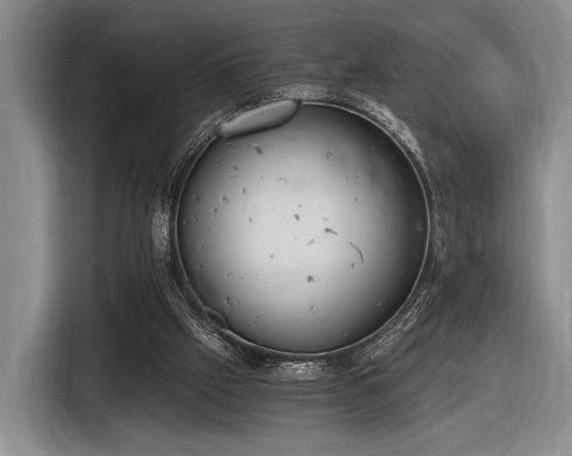 X0000116480057200912161300