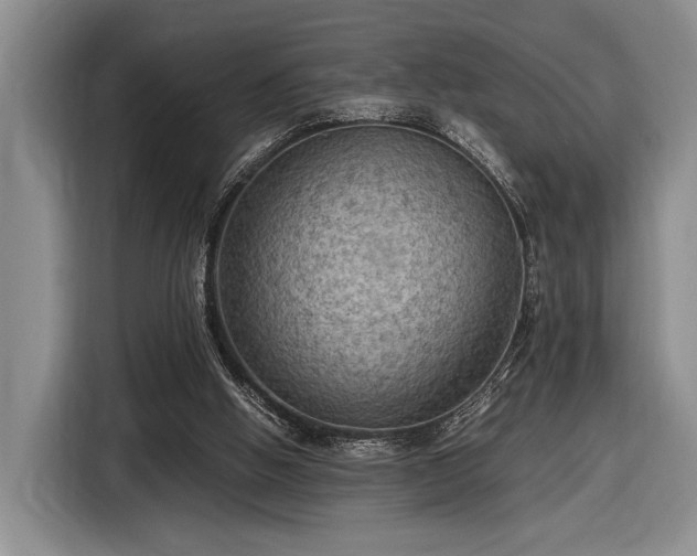 X0000116480058200912161300