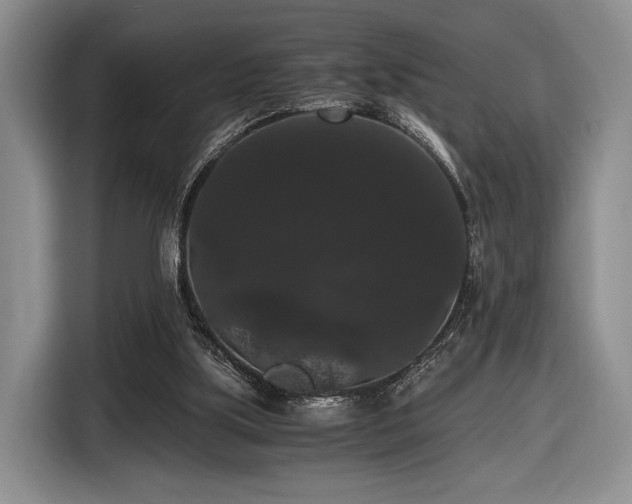 X0000116480059200912161300