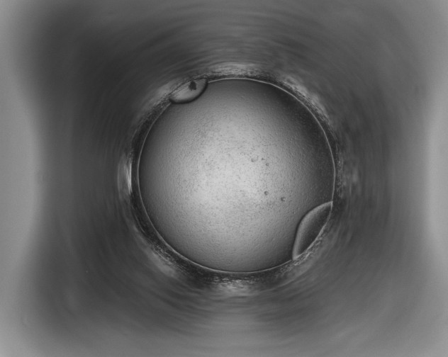 X0000116480062200912161300