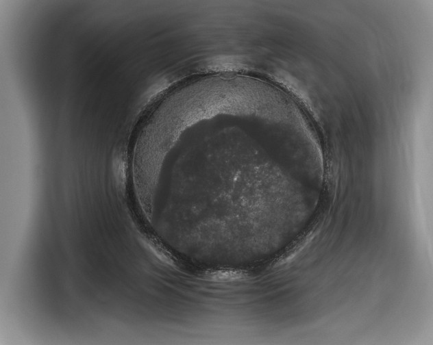 X0000116480063200912161300