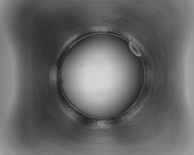 X0000116480064200912161300