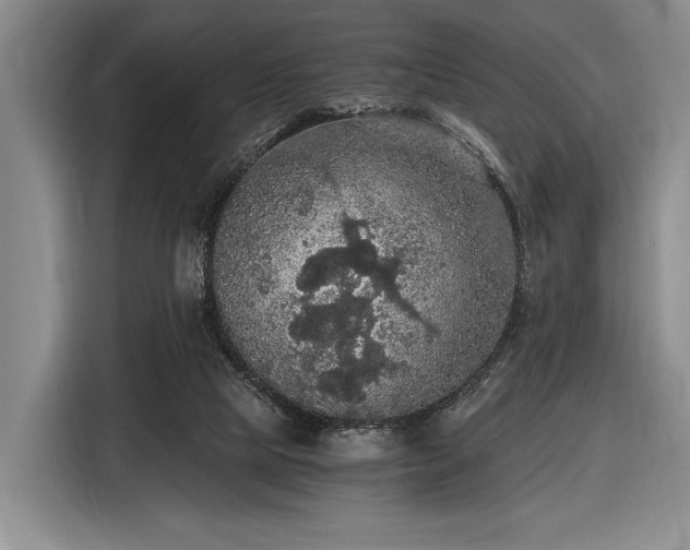 X0000116480065200912161300