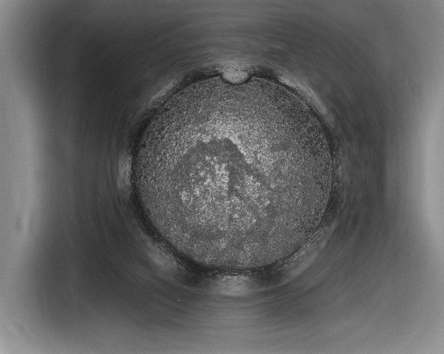 X0000116480066200912161300