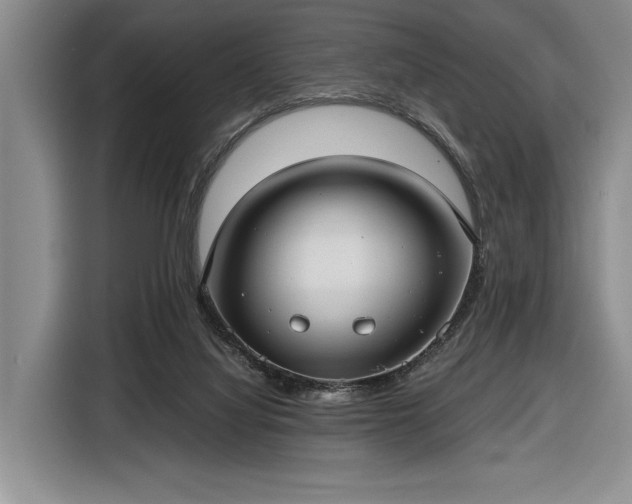 X0000116480068200912161300