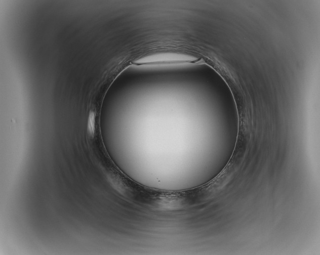 X0000116480070200912161300