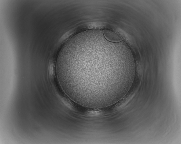 X0000116480071200912161300