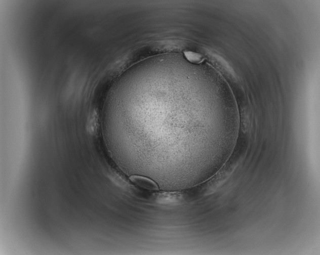 X0000116480077200912161300