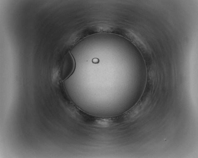 X0000116480079200912161300