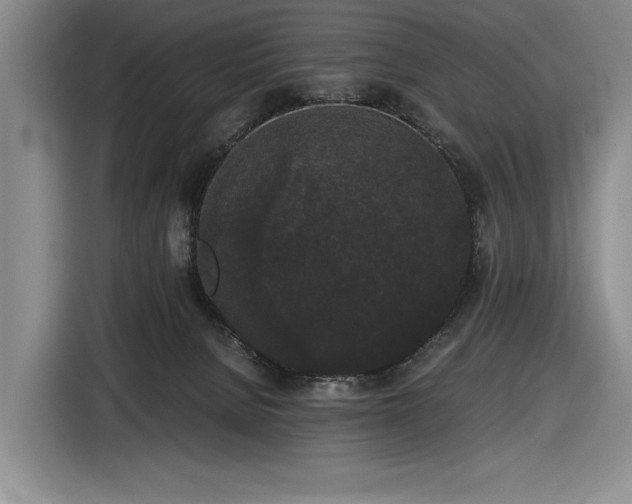 X0000116480080200912161300