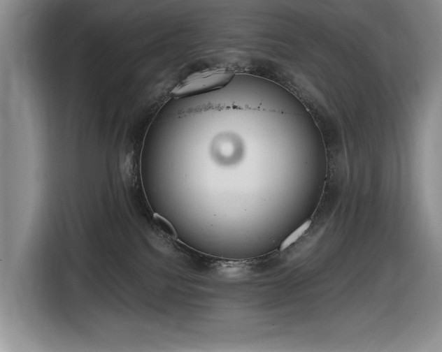 X0000116480088200912161301