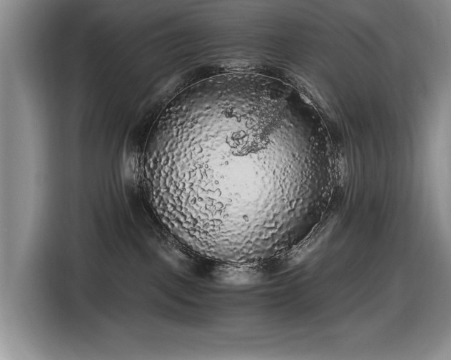 X0000116480093200912161301