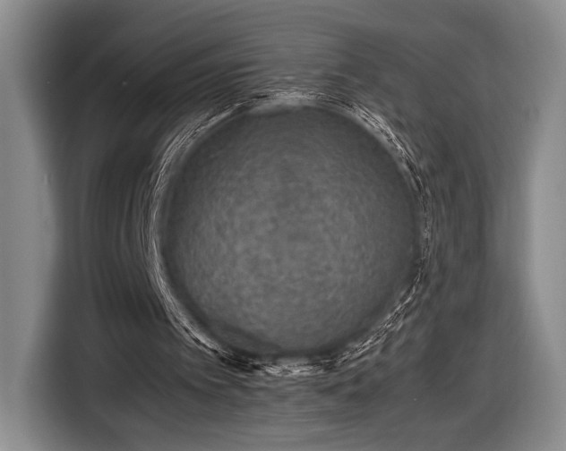 X0000116480097200912161300