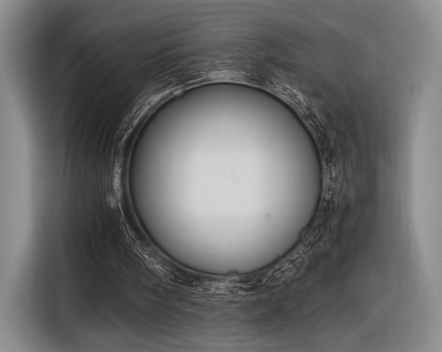 X0000116480098200912161300