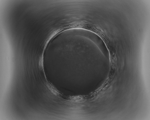 X0000116480100200912161300