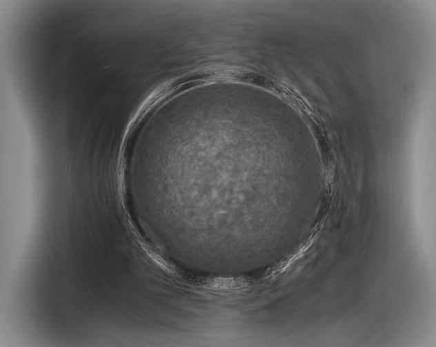 X0000116480101200912161300