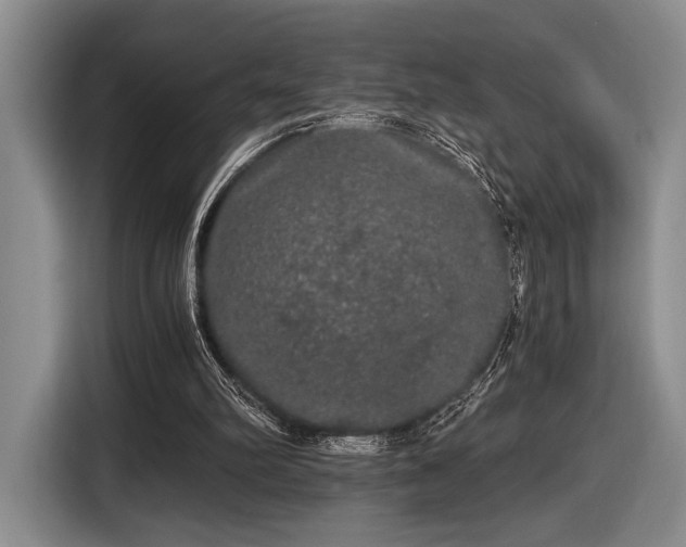 X0000116480102200912161300