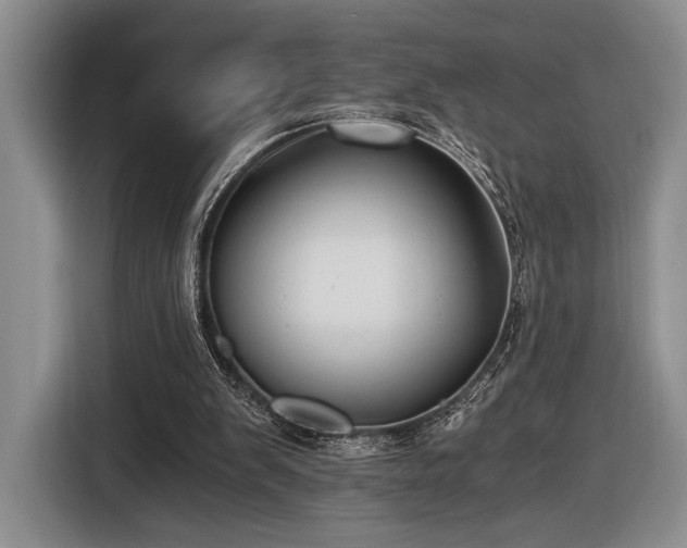 X0000116480103200912161300