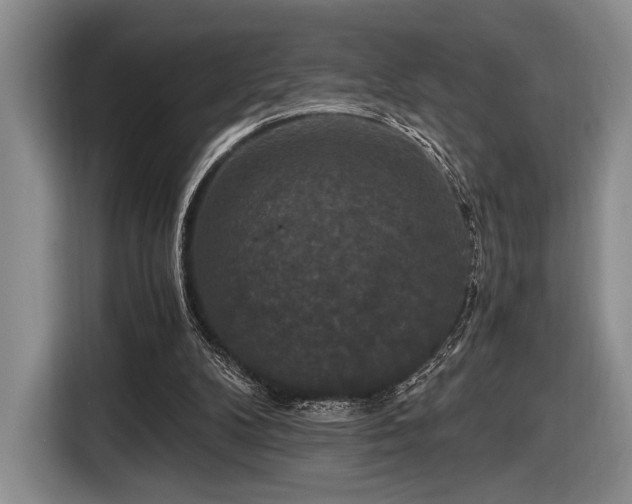 X0000116480104200912161300