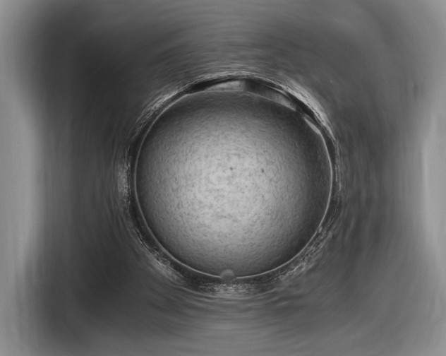 X0000116480105200912161300