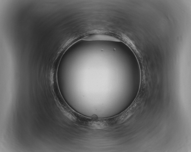 X0000116480106200912161300